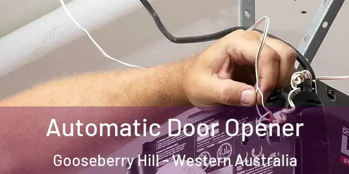 Automatic Door Opener Gooseberry Hill - Western Australia