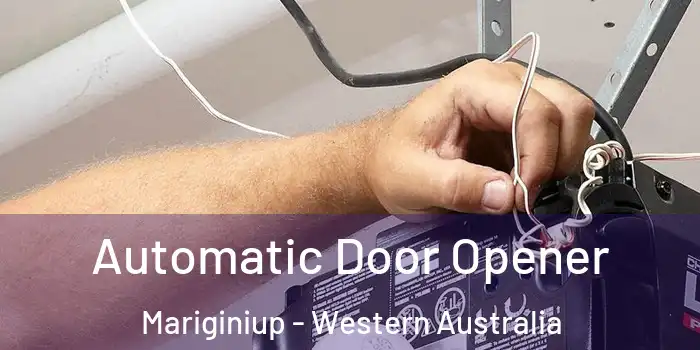 Automatic Door Opener Mariginiup - Western Australia