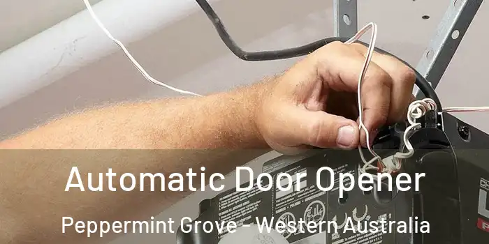 Automatic Door Opener Peppermint Grove - Western Australia
