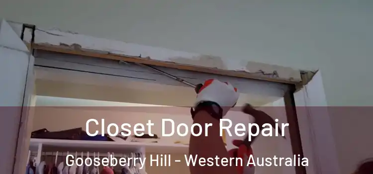 Closet Door Repair Gooseberry Hill - Western Australia