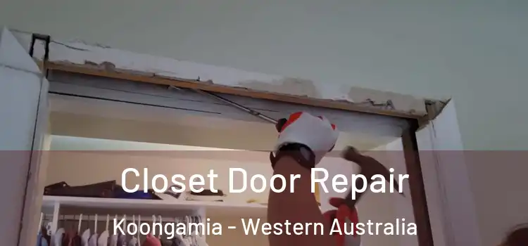 Closet Door Repair Koongamia - Western Australia