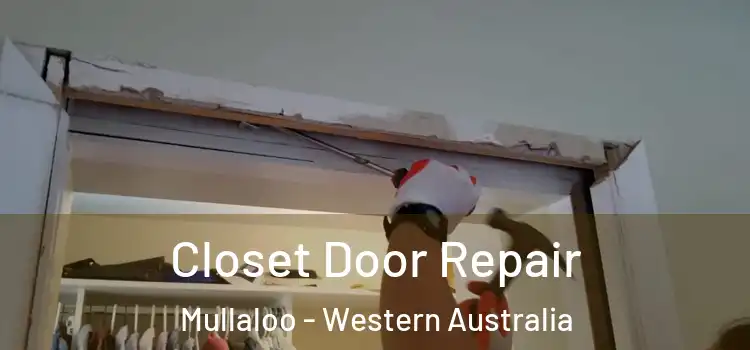 Closet Door Repair Mullaloo - Western Australia