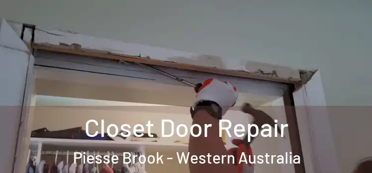 Closet Door Repair Piesse Brook - Western Australia