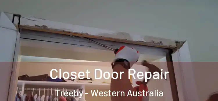 Closet Door Repair Treeby - Western Australia