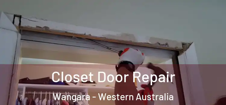 Closet Door Repair Wangara - Western Australia