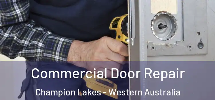 Commercial Door Repair Champion Lakes - Western Australia