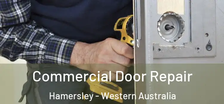 Commercial Door Repair Hamersley - Western Australia