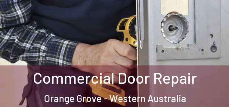 Commercial Door Repair Orange Grove - Western Australia
