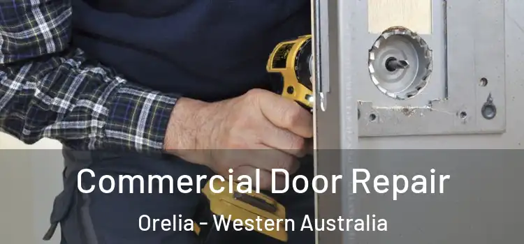 Commercial Door Repair Orelia - Western Australia
