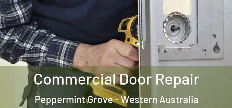 Commercial Door Repair Peppermint Grove - Western Australia