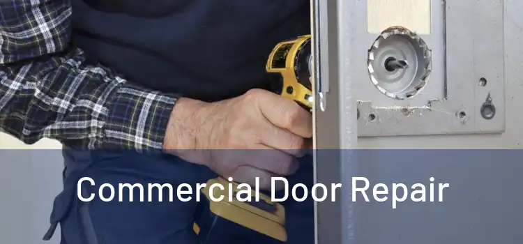 Commercial Door Repair 
