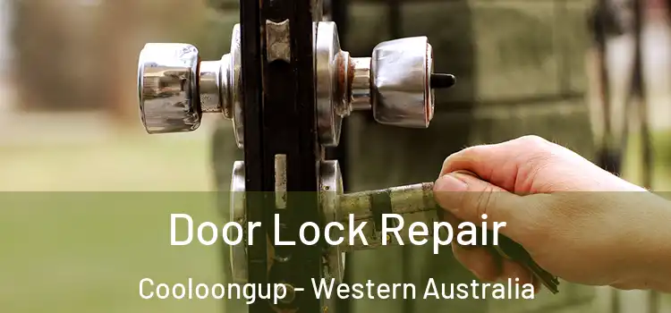 Door Lock Repair Cooloongup - Western Australia