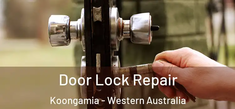 Door Lock Repair Koongamia - Western Australia