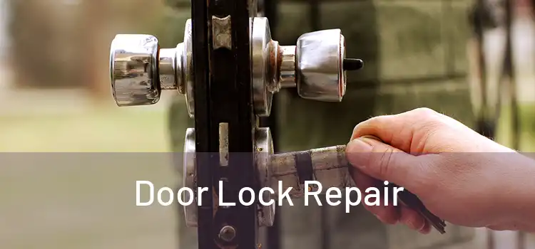 Door Lock Repair 