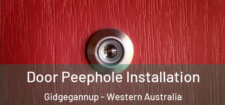 Door Peephole Installation Gidgegannup - Western Australia