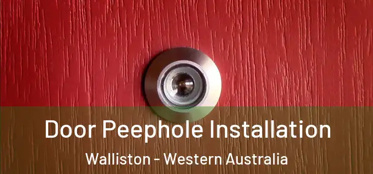 Door Peephole Installation Walliston - Western Australia