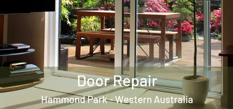 Door Repair Hammond Park - Western Australia