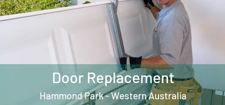 Door Replacement Hammond Park - Western Australia