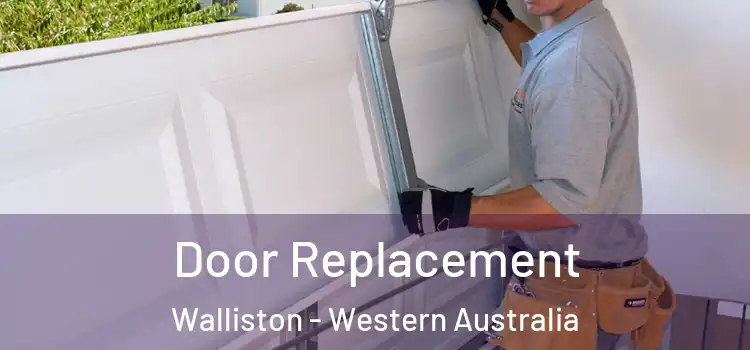 Door Replacement Walliston - Western Australia