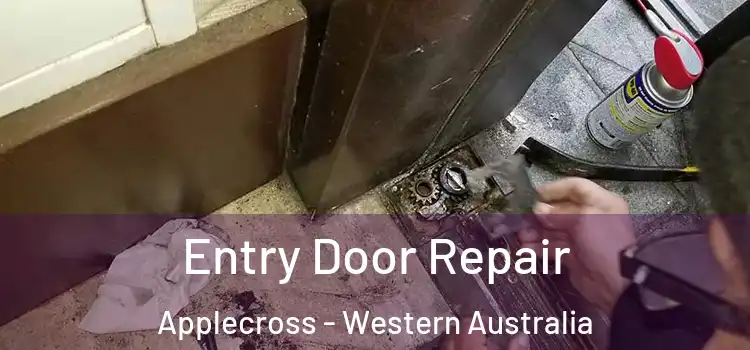 Entry Door Repair Applecross - Western Australia
