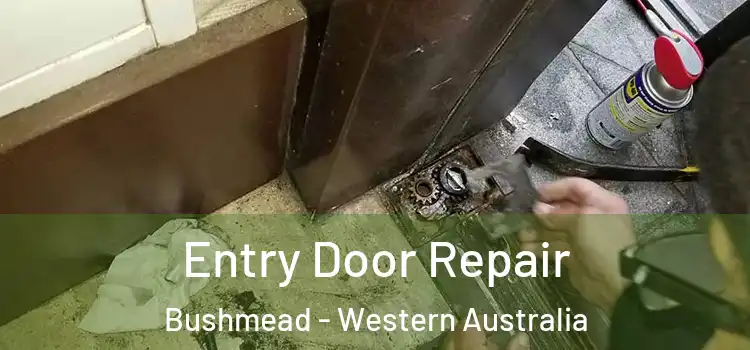 Entry Door Repair Bushmead - Western Australia