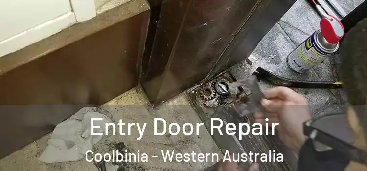 Entry Door Repair Coolbinia - Western Australia