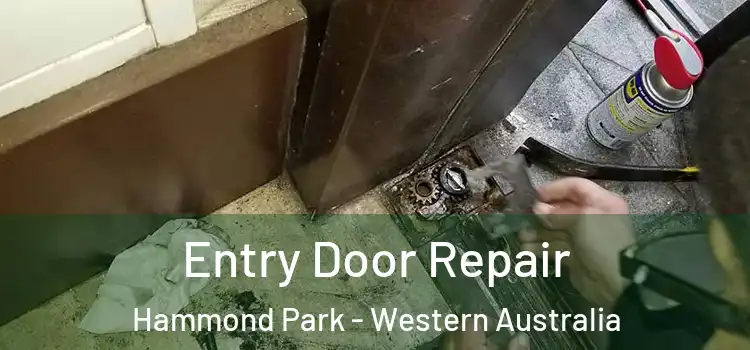Entry Door Repair Hammond Park - Western Australia