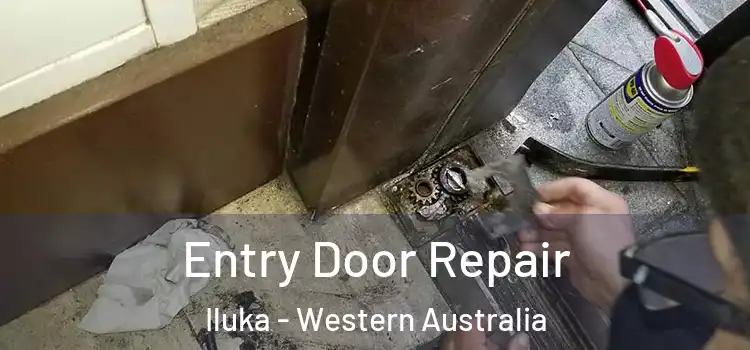Entry Door Repair Iluka - Western Australia