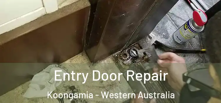 Entry Door Repair Koongamia - Western Australia