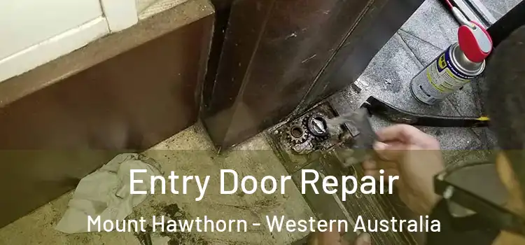 Entry Door Repair Mount Hawthorn - Western Australia