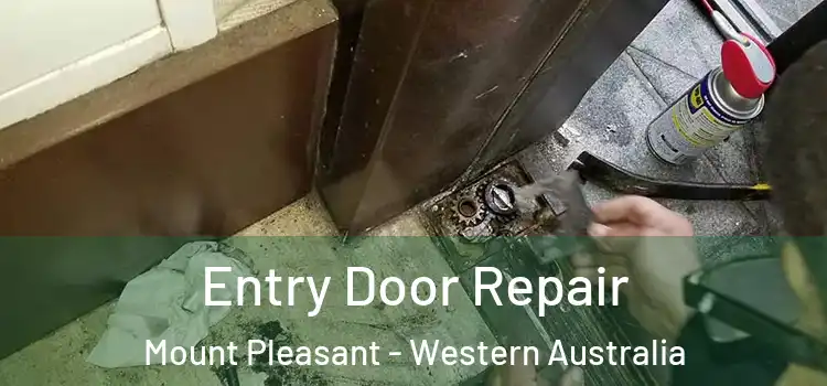 Entry Door Repair Mount Pleasant - Western Australia