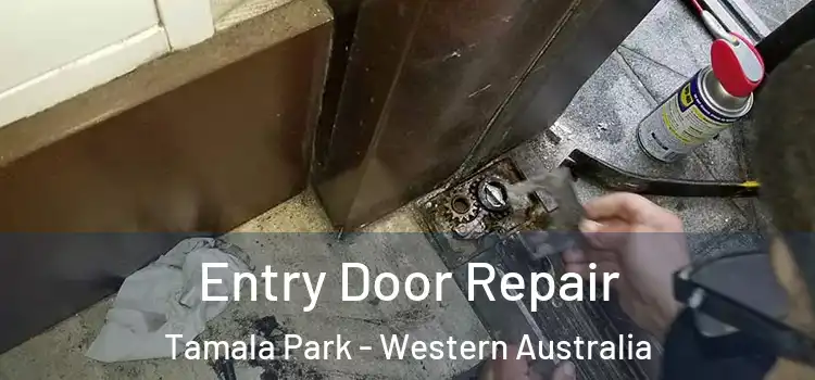 Entry Door Repair Tamala Park - Western Australia