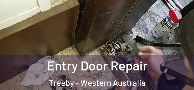 Entry Door Repair Treeby - Western Australia