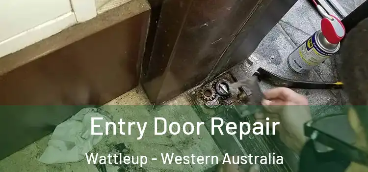 Entry Door Repair Wattleup - Western Australia