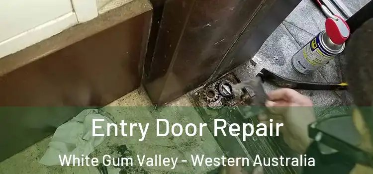 Entry Door Repair White Gum Valley - Western Australia