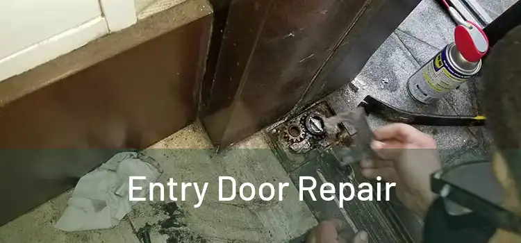 Entry Door Repair