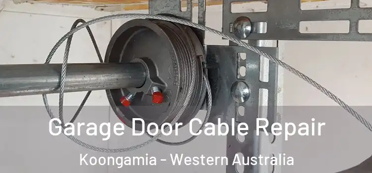 Garage Door Cable Repair Koongamia - Western Australia