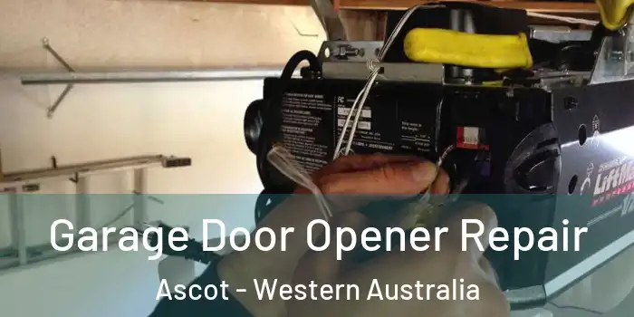 Garage Door Opener Repair Ascot - Western Australia