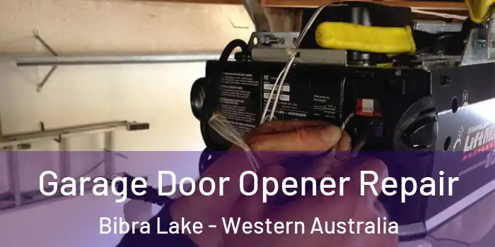 Garage Door Opener Repair Bibra Lake - Western Australia