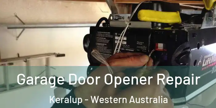 Garage Door Opener Repair Keralup - Western Australia