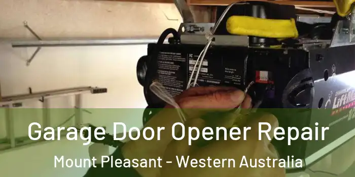 Garage Door Opener Repair Mount Pleasant - Western Australia