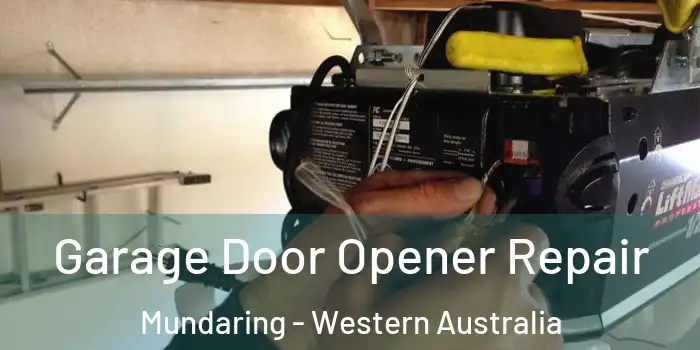 Garage Door Opener Repair Mundaring - Western Australia