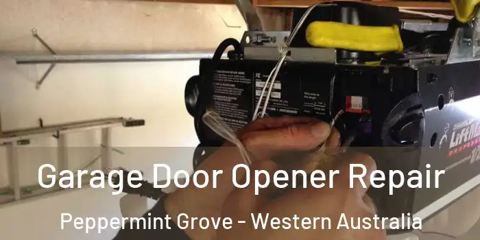 Garage Door Opener Repair Peppermint Grove - Western Australia