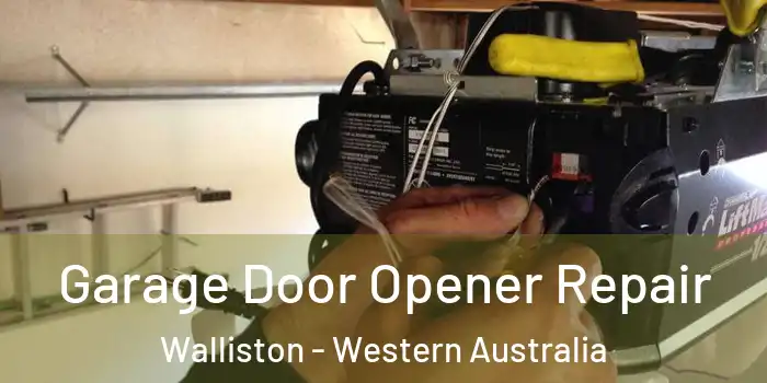 Garage Door Opener Repair Walliston - Western Australia