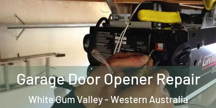 Garage Door Opener Repair White Gum Valley - Western Australia