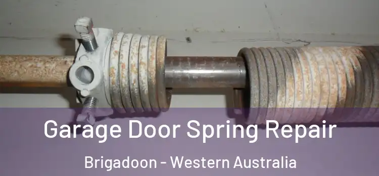 Garage Door Spring Repair Brigadoon - Western Australia