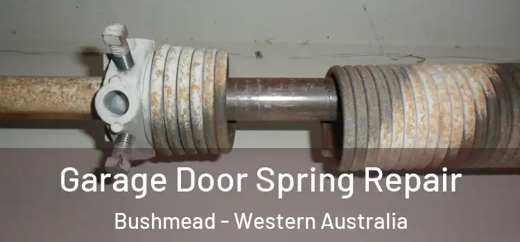 Garage Door Spring Repair Bushmead - Western Australia