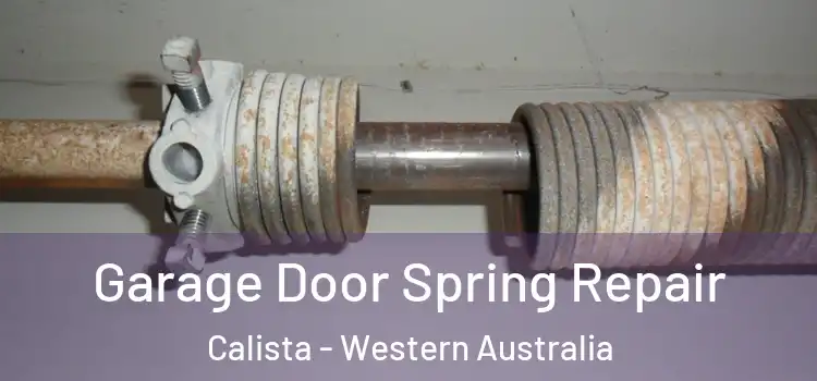 Garage Door Spring Repair Calista - Western Australia