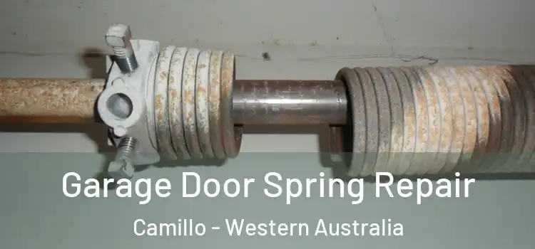 Garage Door Spring Repair Camillo - Western Australia