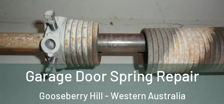 Garage Door Spring Repair Gooseberry Hill - Western Australia